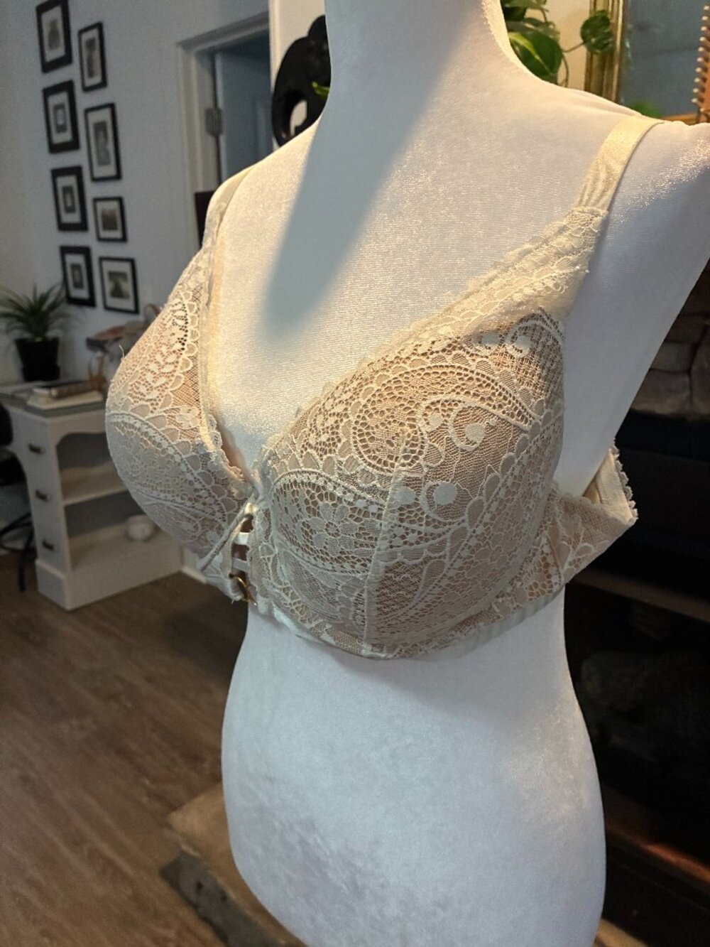 aerie Lace Bra 40C